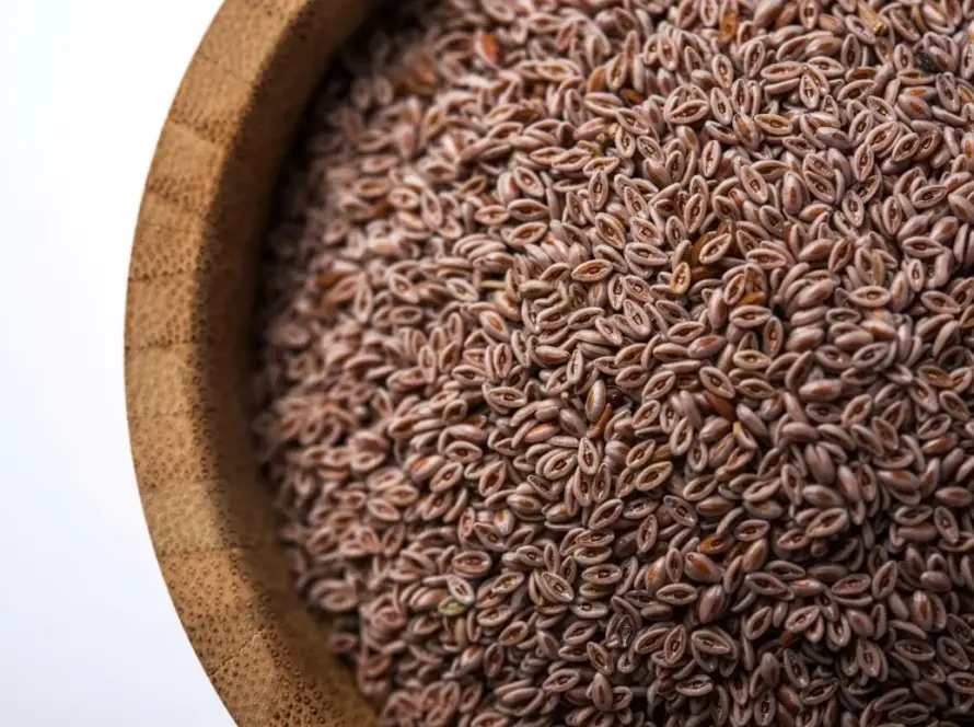 India Psyllium